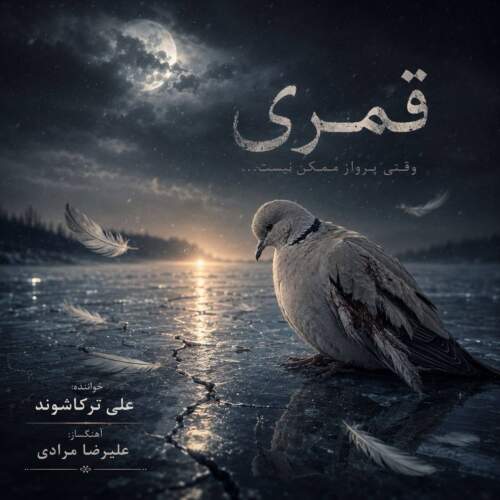 آهنگ علی ترکاشوند قُمری آهنگ علی ترکاشوند قُمری