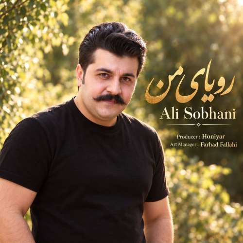 آهنگ علی سبحانی رویای من