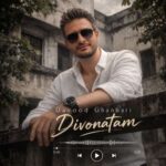 آهنگ داوود قنبری دیونتم