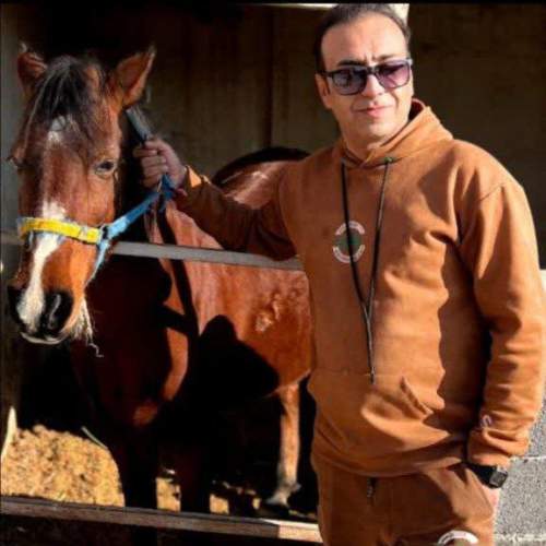 آهنگ محمد هادی عبادتی گل باغ شیراز