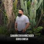 آهنگ شاهین ابراهیم زاده گرگ و میش