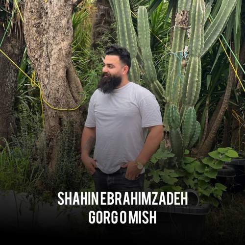 آهنگ شاهین ابراهیم زاده گرگ و میش