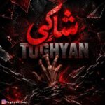 آهنگ طغیان شاکی